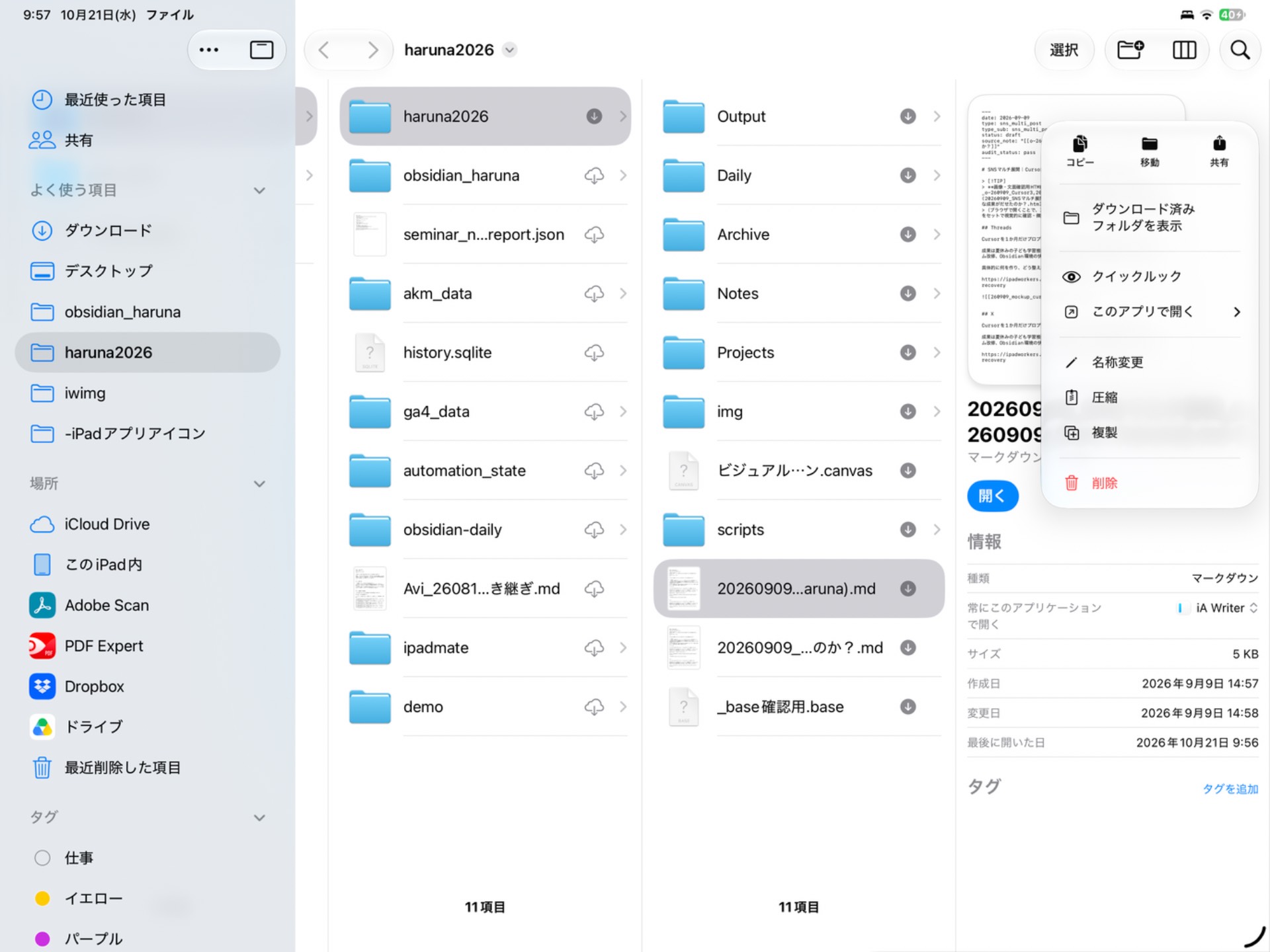 iPadのファイルアプリでMarkdownファイルを表示した画面