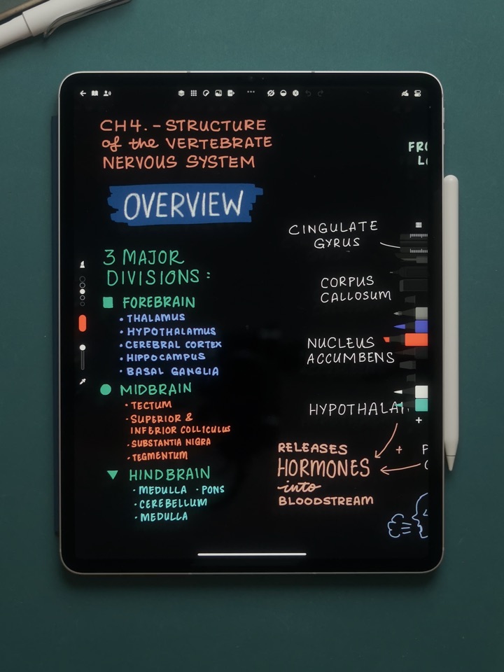 Flow_screenshot_01